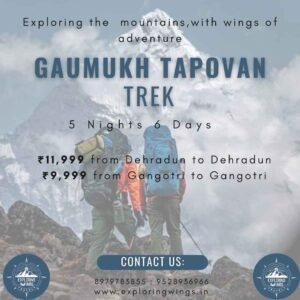 Gaumukh tapovan trek package from dehradun