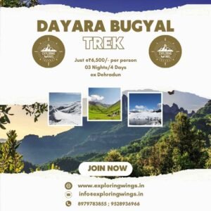 Dayara bugyal trek from dehradun price