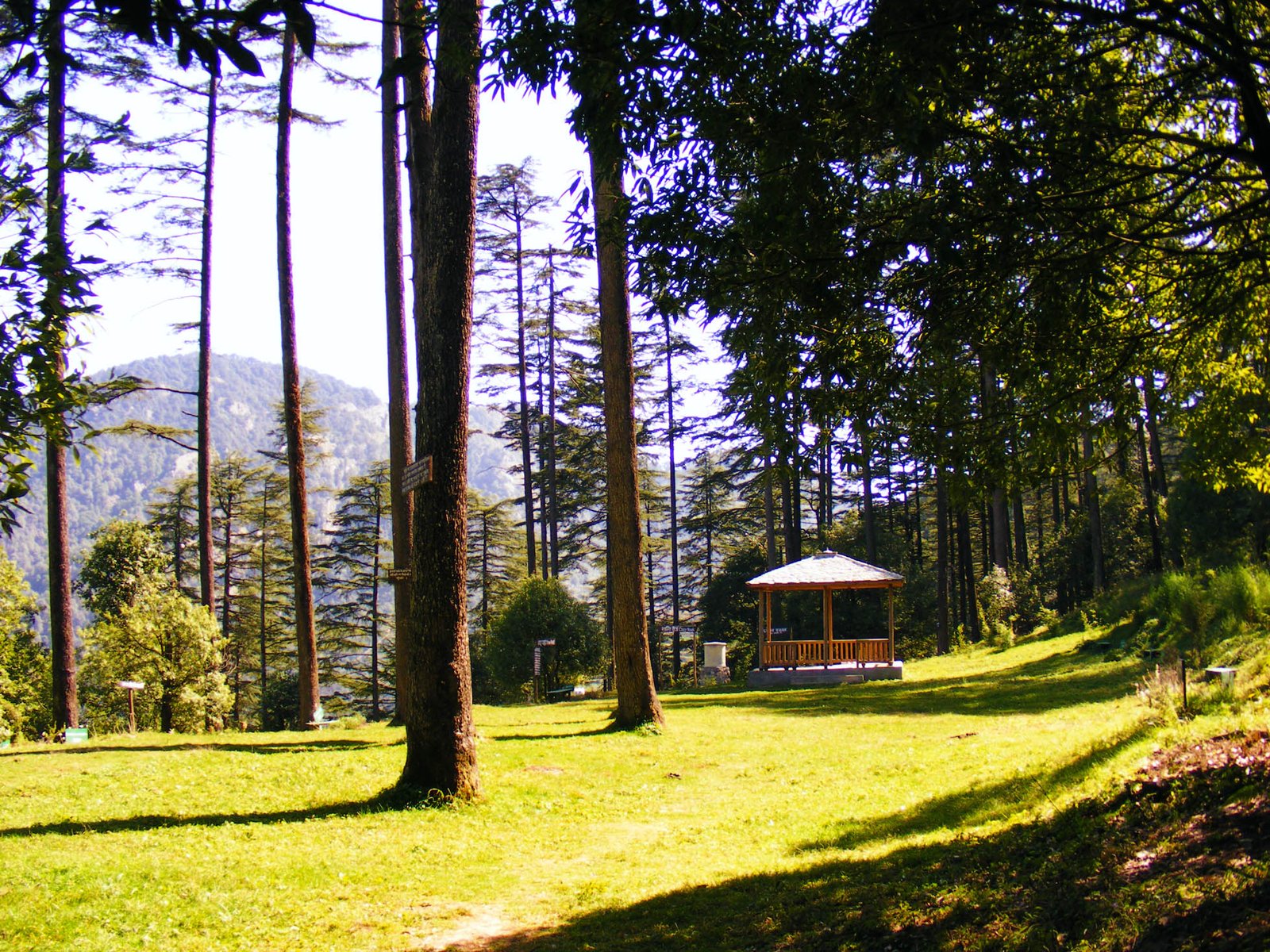 https://upload.wikimedia.org/wikipedia/commons/f/fd/Dhanaulti_2.jpg?utm_source=chatgpt.com