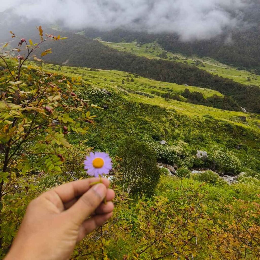 Top 5 Treks in Uttarakhand to Do in February